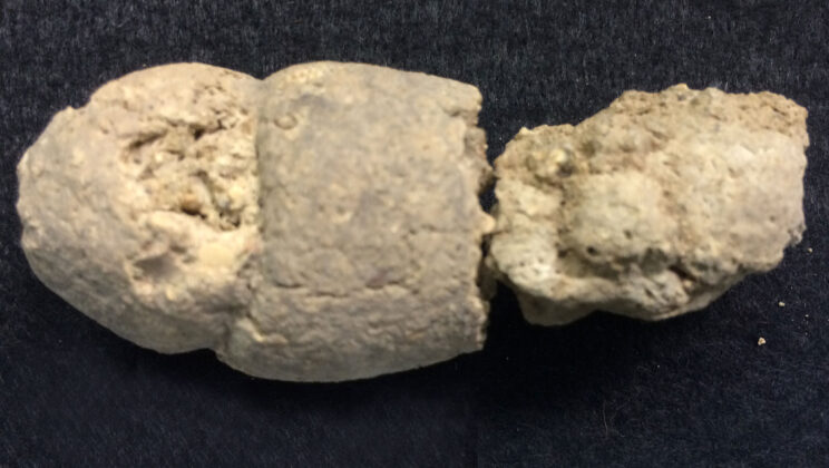 10 Grossest Things Archaeologists Have Ever Found