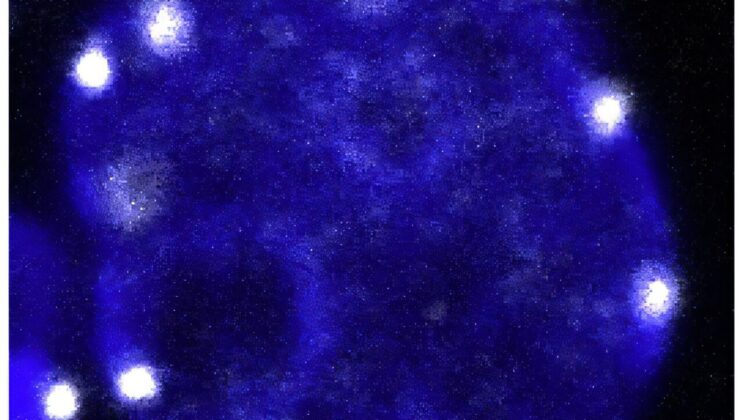 Our DNA Performs a Massive Physical Reset Before a New Life Can Even Begin