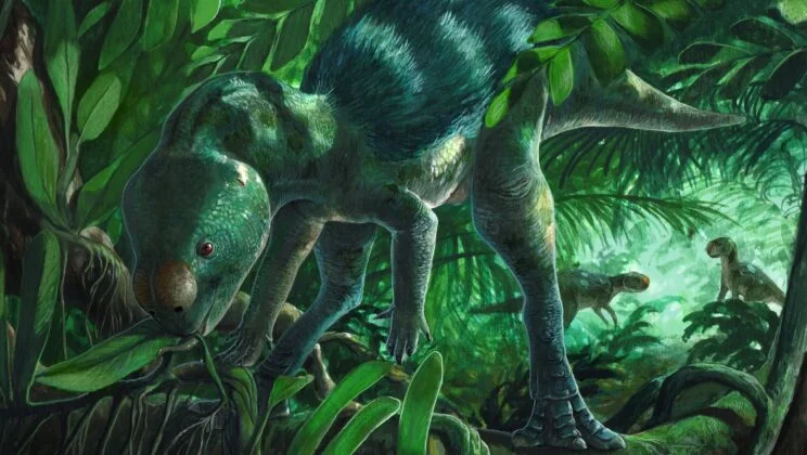 This New Dinosaur Was No Bigger Than a House Cat but It Is Rewriting History