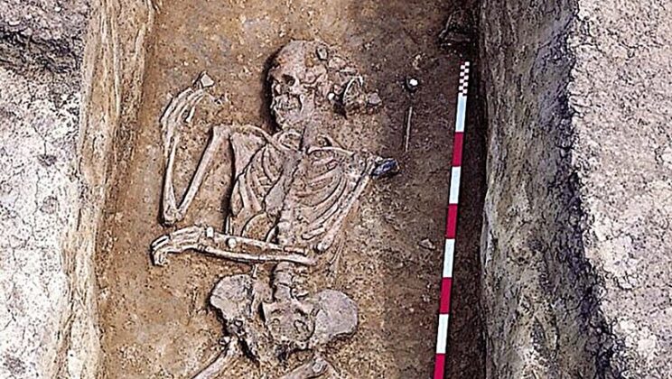 Scientists Found a Neolithic Woman Buried Like a Man and It Changes Our View of History