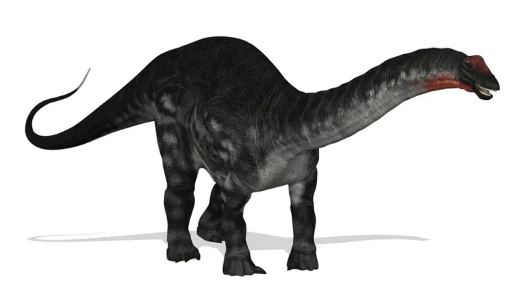 What is Apatosaurus? The True Story of the “Thunder Lizard”