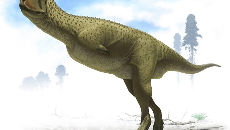 What is Carnotaurus? The Horned Bull of the Dinosaur World