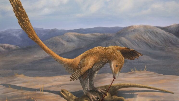 What is Deinonychus? The Real Science Behind the “Velociraptor”