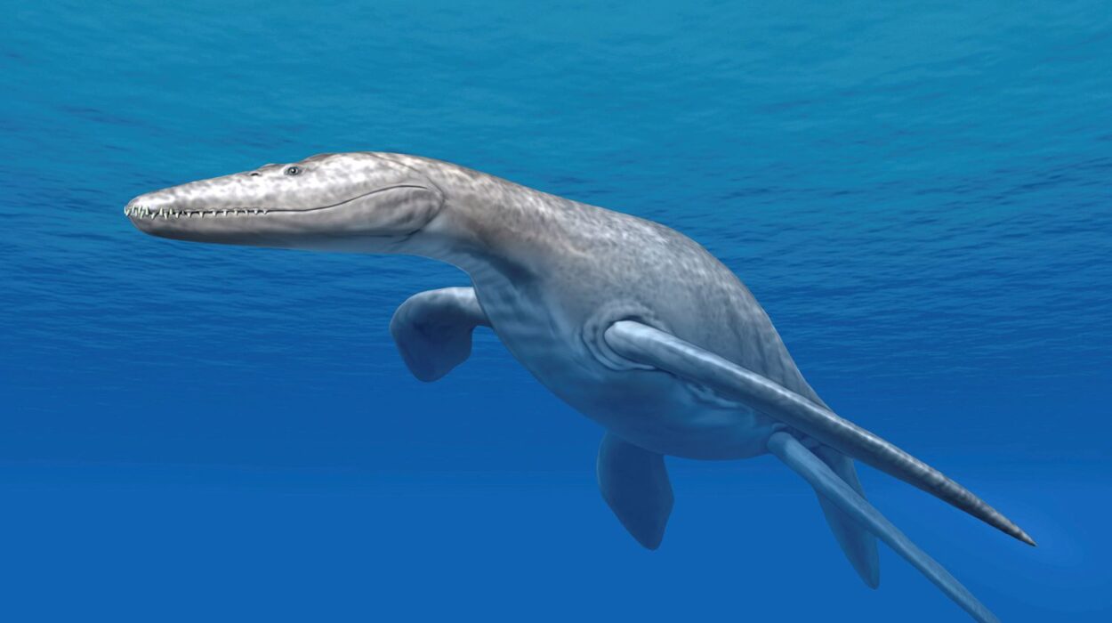 Pliosaurs: The Predator X That Ruled the Jurassic Seas
