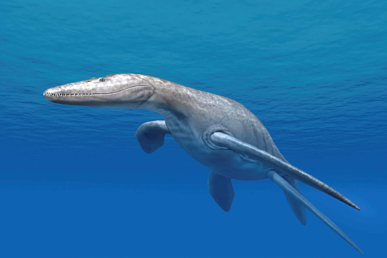 Pliosaurs: The Predator X That Ruled the Jurassic Seas