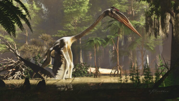 Quetzalcoatlus: The Plane-Sized Monster That Ruled the Skies