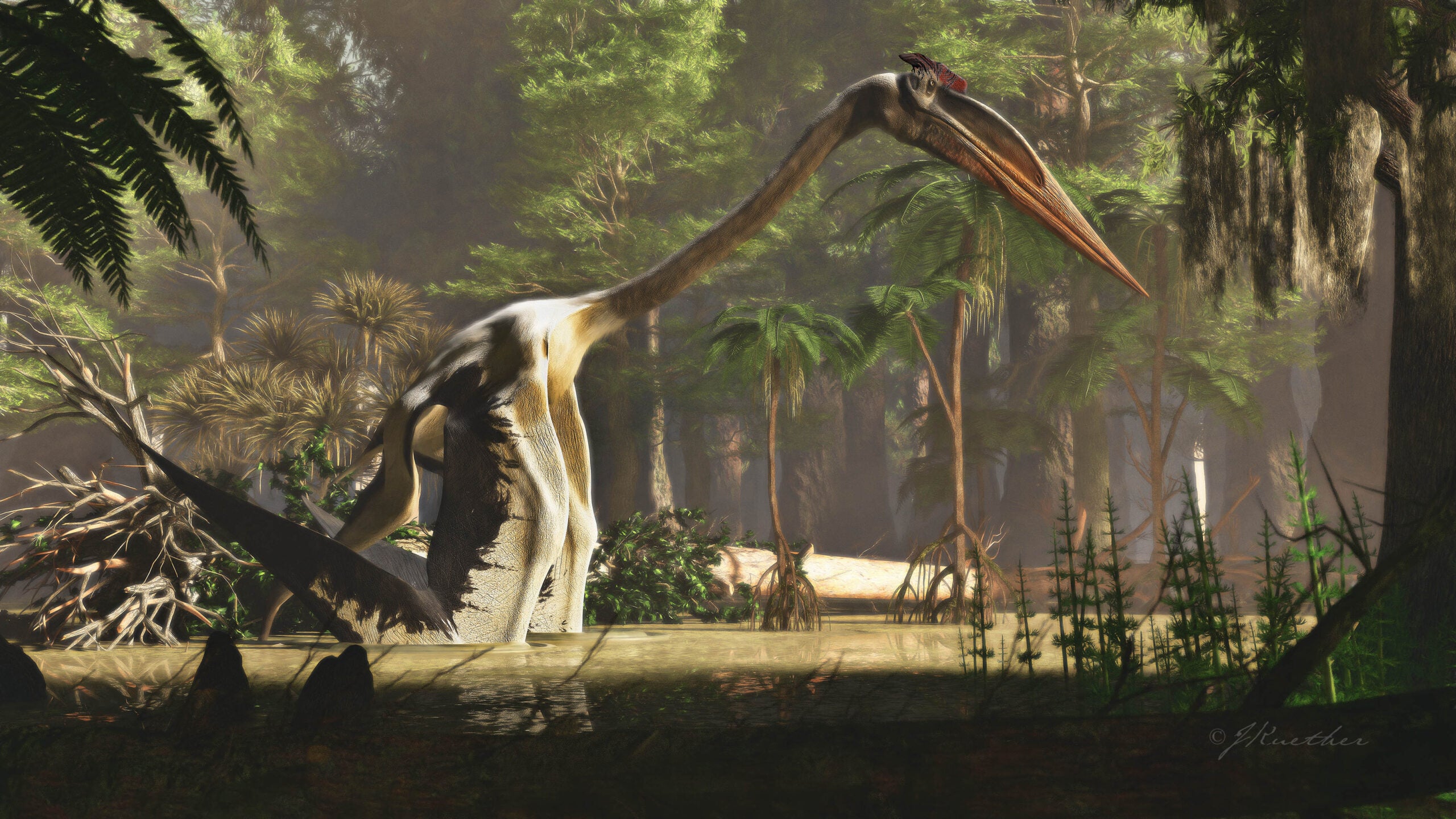 Quetzalcoatlus: The Plane-Sized Monster That Ruled the Skies