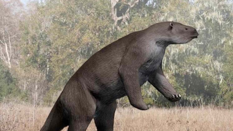Megatherium: The Giant Ground Sloth That Was the Size of an Elephant
