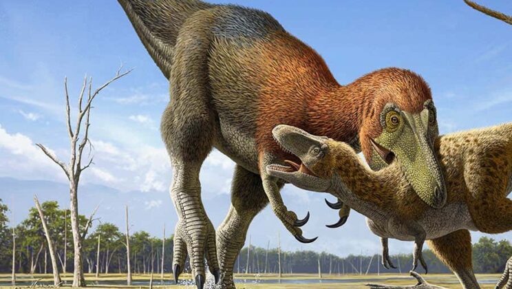 What is Tyrannosaurus rex? Everything You Need to Know About the King of Dinosaurs