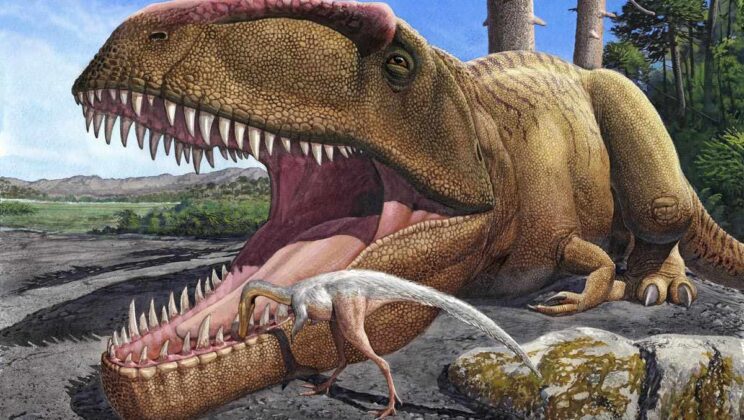 Giganotosaurus: The South American Rival to the T. rex