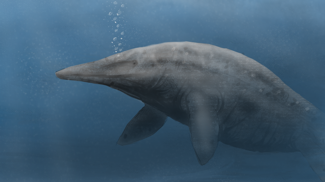 Shastasaurus: The Largest Marine Reptile Ever Discovered