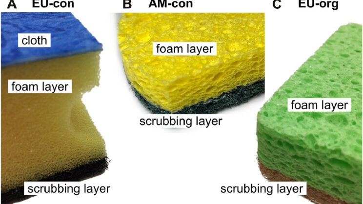 Your Kitchen Sponge Is Shedding Thousands of Microplastics Into the Ocean Every Year