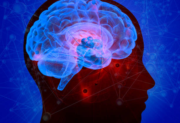 How Does Memory Work? Why You Forget and How to Remember Better