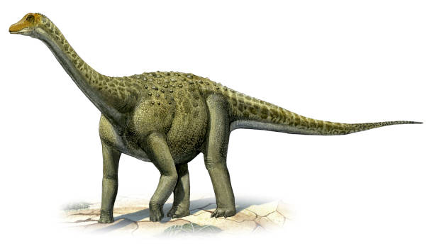 10 Mind-Blowing Facts About the Giant Titanosaurus