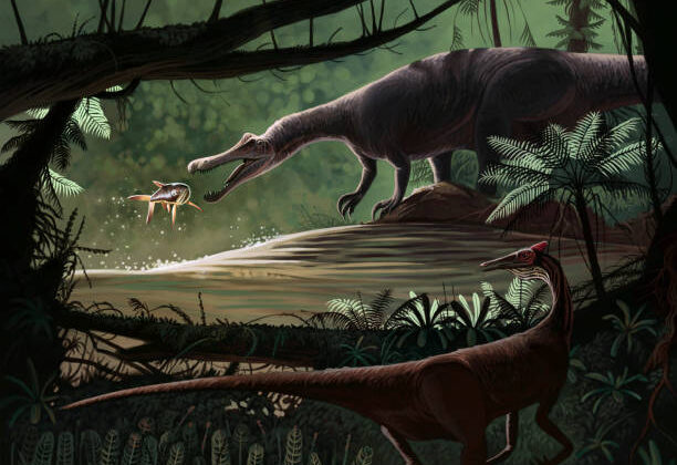 The Mystery of Baryonyx: The Fish-Eating Dinosaur with Heavy Claws