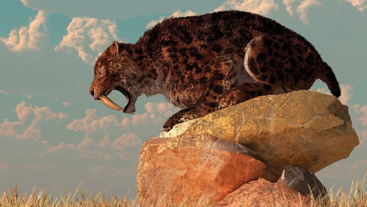What Really Happened to the Saber-Toothed Tiger?