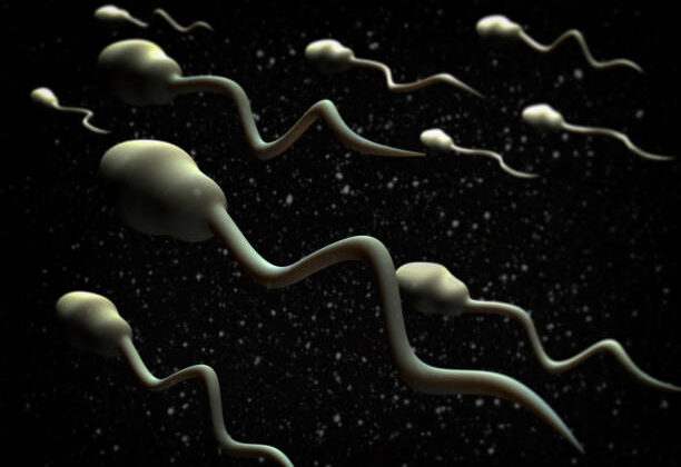 Why Human Sperm Gets Hopelessly Lost Without Earth’s Gravity
