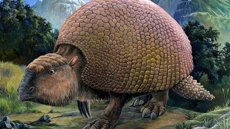 Glyptodon: The Prehistoric Armadillo the Size of a Volkswagen Beetle