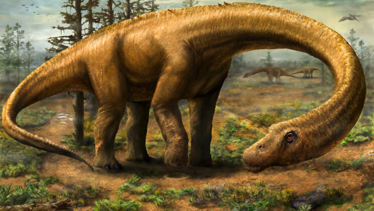 What is Dreadnoughtus? The Massive Dinosaur That Feared Nothing