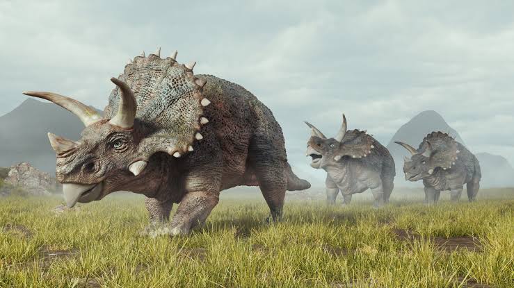 Triceratops: The Three-Horned King of the Herbivores