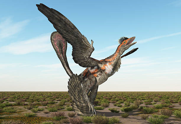 What is Amargasaurus? The Dinosaur with a Spiny Sail