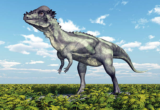 5 Surprising Facts About the Pachycephalosaurus (Bone-Headed Dinosaur)