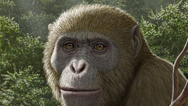 Egypt Just Rewrote the Human Origin Story With a 17 Million Year Old Secret