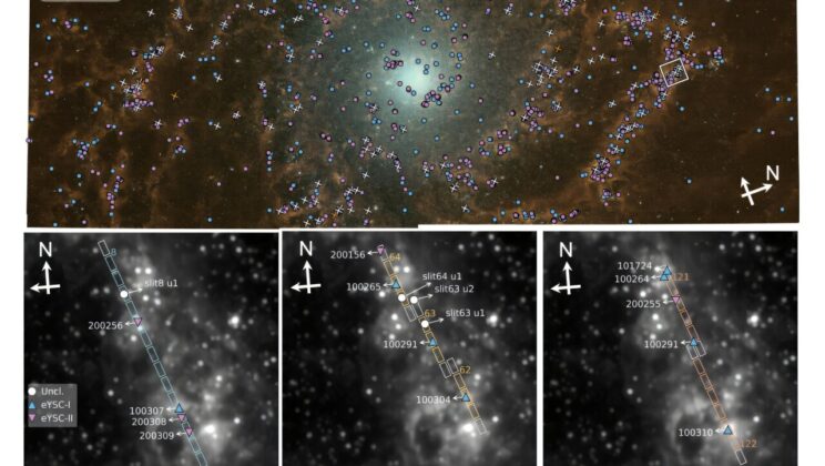 This Grand Design Spiral Galaxy Is Hiding Thousands of Secret Invisible Star Families