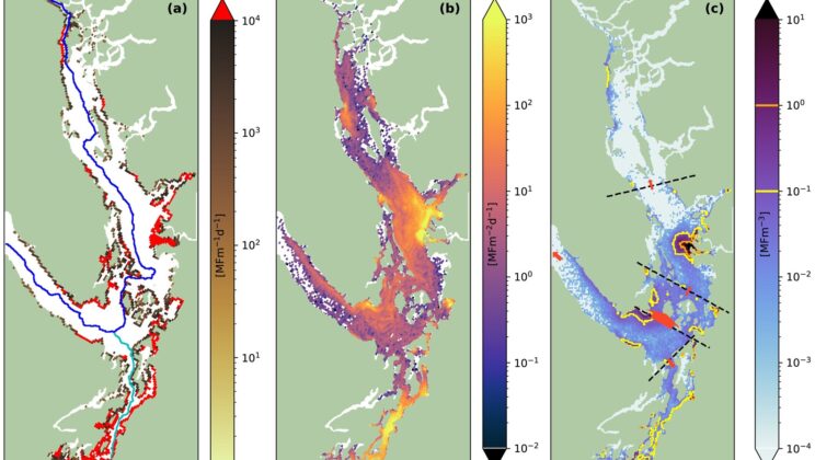 Your Yoga Pants Are Staging a Quiet Occupation of the Local Coastline
