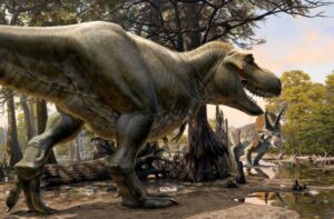 Was T. rex a Hunter or Scavenger? The Science Behind the Predation Debate