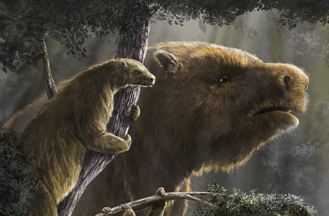 Giant Ground Sloths: The Massive Beasts That Once Roamed America