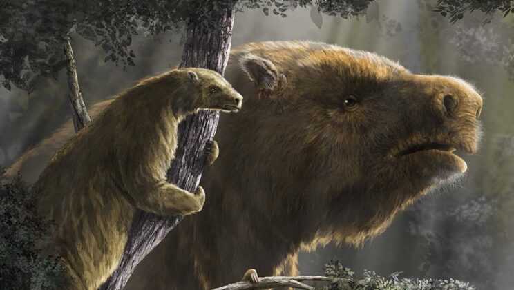 Giant Ground Sloths: The Massive Beasts That Once Roamed America
