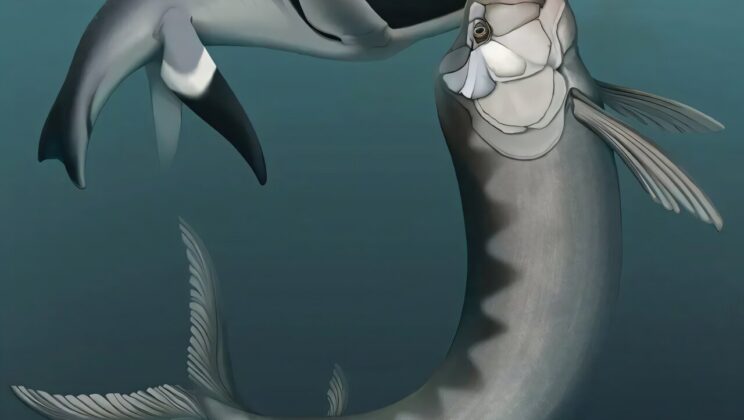 Scientists Found a Massive Predator’s Tooth Embedded in a Plesiosaur’s Neck