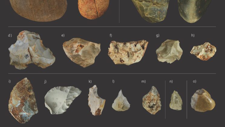 Ancient Humans Masterminded a Massive Bison Slaughter 400,000 Years Ago