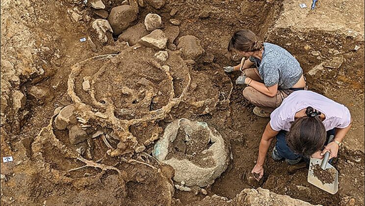 Metal Detectorist Unearths a Ghostly Fleet of Heavy Duty Wagons Buried for Two Millennia