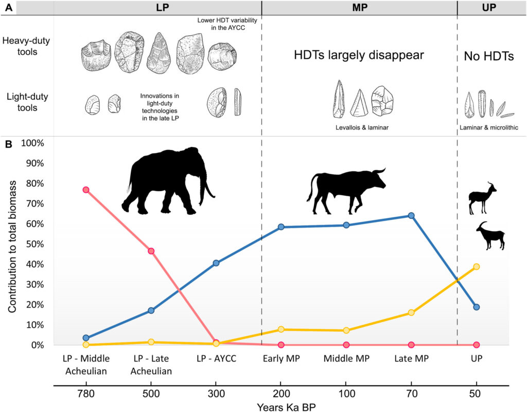 Ancient Humans Swapped Heavy Sledgehammers for Surgical Blades as the Giants Died Out