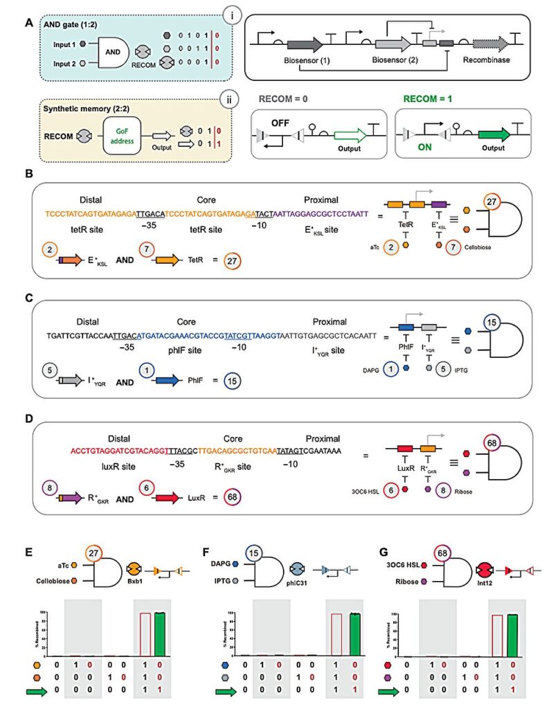 This Biological Password Could Stop the  Trillion Bio-Theft Industry