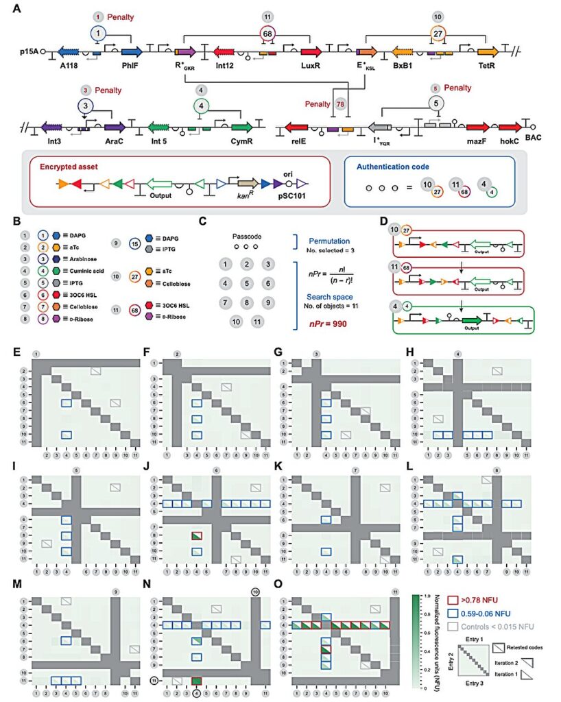 This Biological Password Could Stop the  Trillion Bio-Theft Industry - image 2