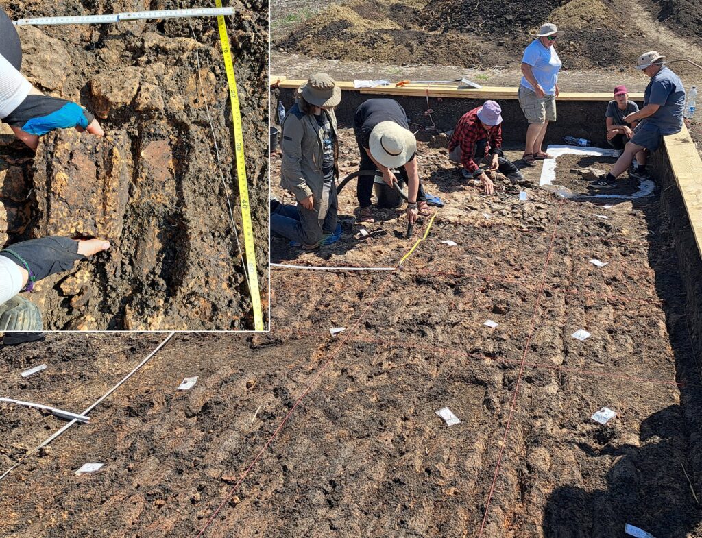 Archaeologists Uncovered a Massive 6,000 Year Old Mystery Building in Romania
