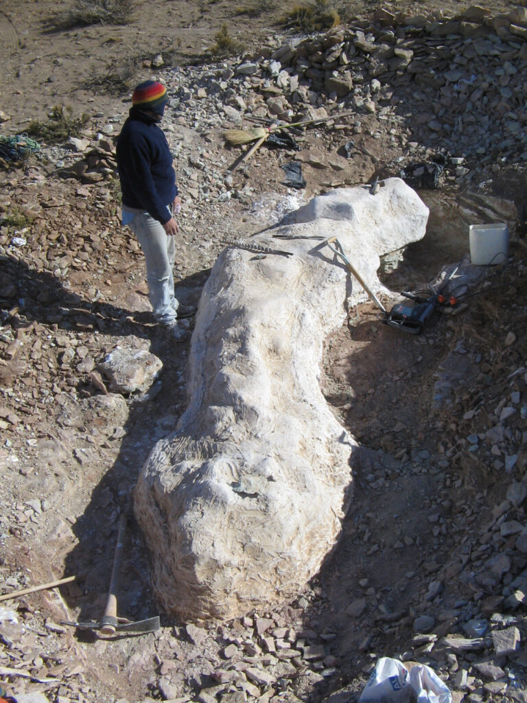 Scientists Found a New Dinosaur in Argentina That Is Half Brachiosaurus and Half Diplodocus