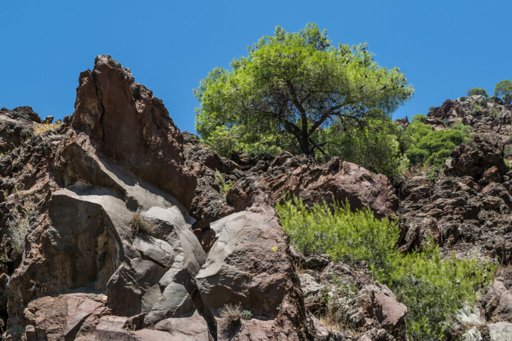 Sleeping Giant Volcanoes Are Silently Filling Their Magma Tanks for 100,000 Years