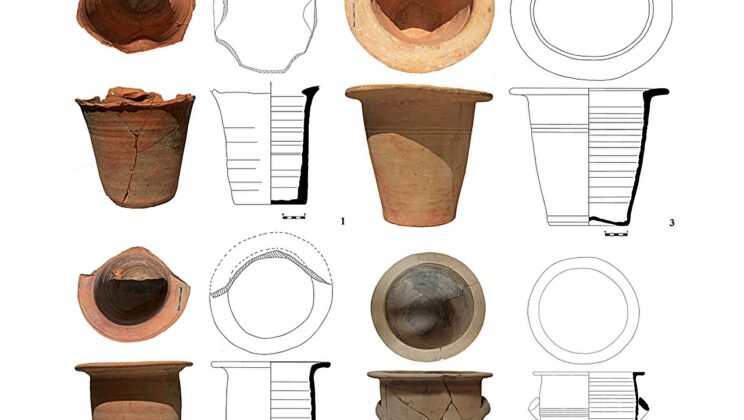 Scientists Found a Biological Time Machine Inside 1,600 Year Old Roman Latrines