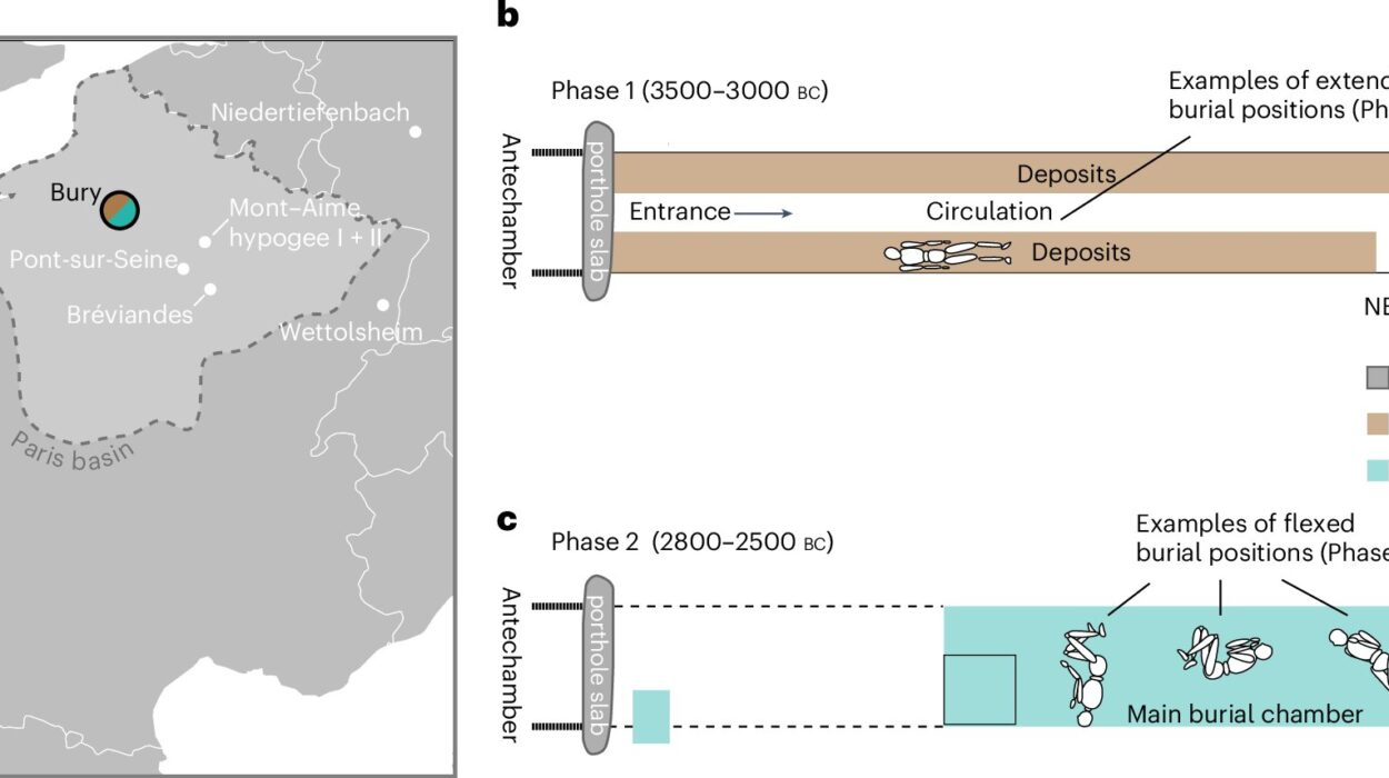 Scientists Found an 800 Year Silence in the French Countryside Where a Civilization Simply Vanished
