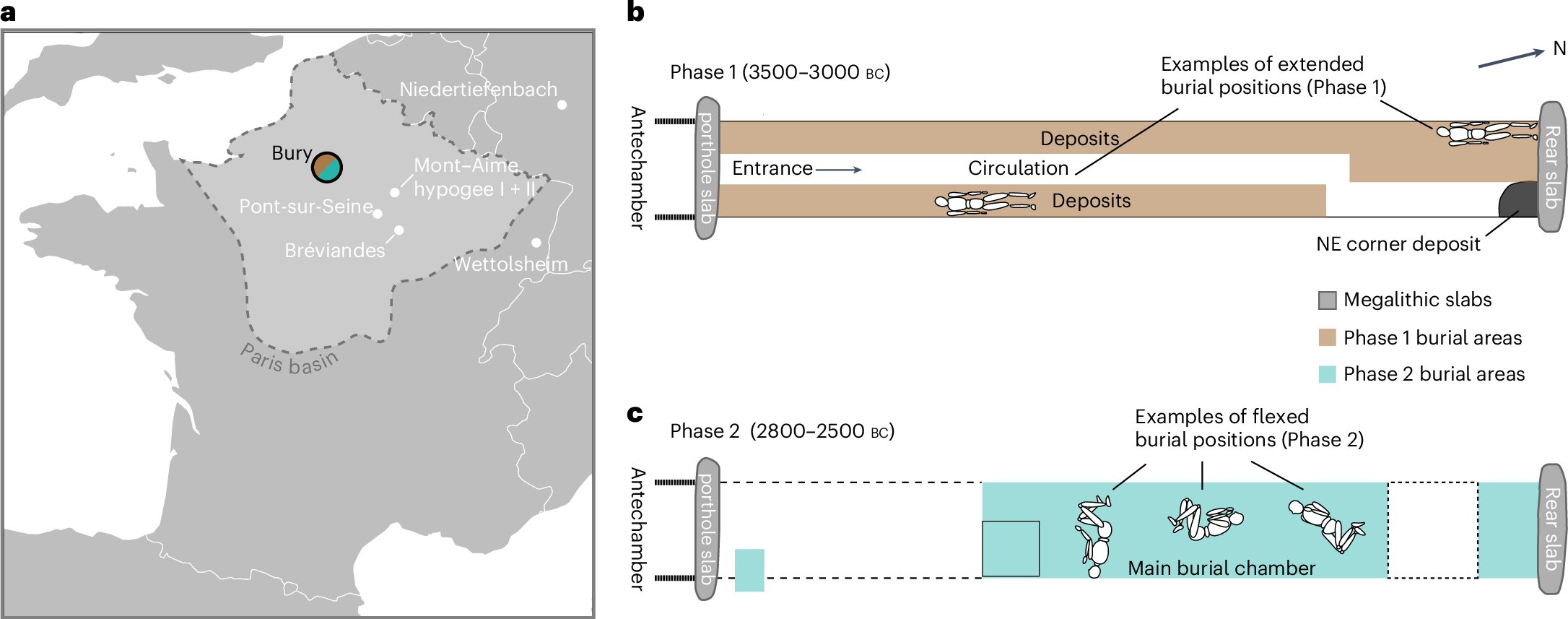 Scientists Found an 800 Year Silence in the French Countryside Where a Civilization Simply Vanished