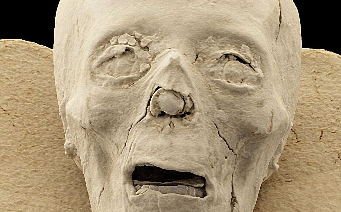 Scientists Discover Human Foot Hidden Inside 2,300-Year-Old Bird Mummy Bundle