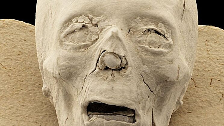 Scientists Discover Human Foot Hidden Inside 2,300-Year-Old Bird Mummy Bundle