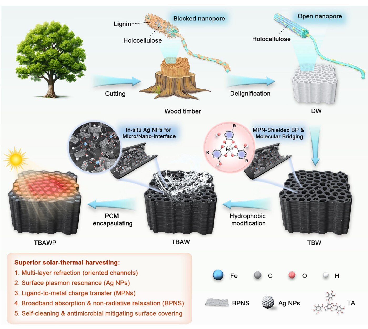 This Reengineered Wood Can Store Sunlight and Keep the Lights on at Night