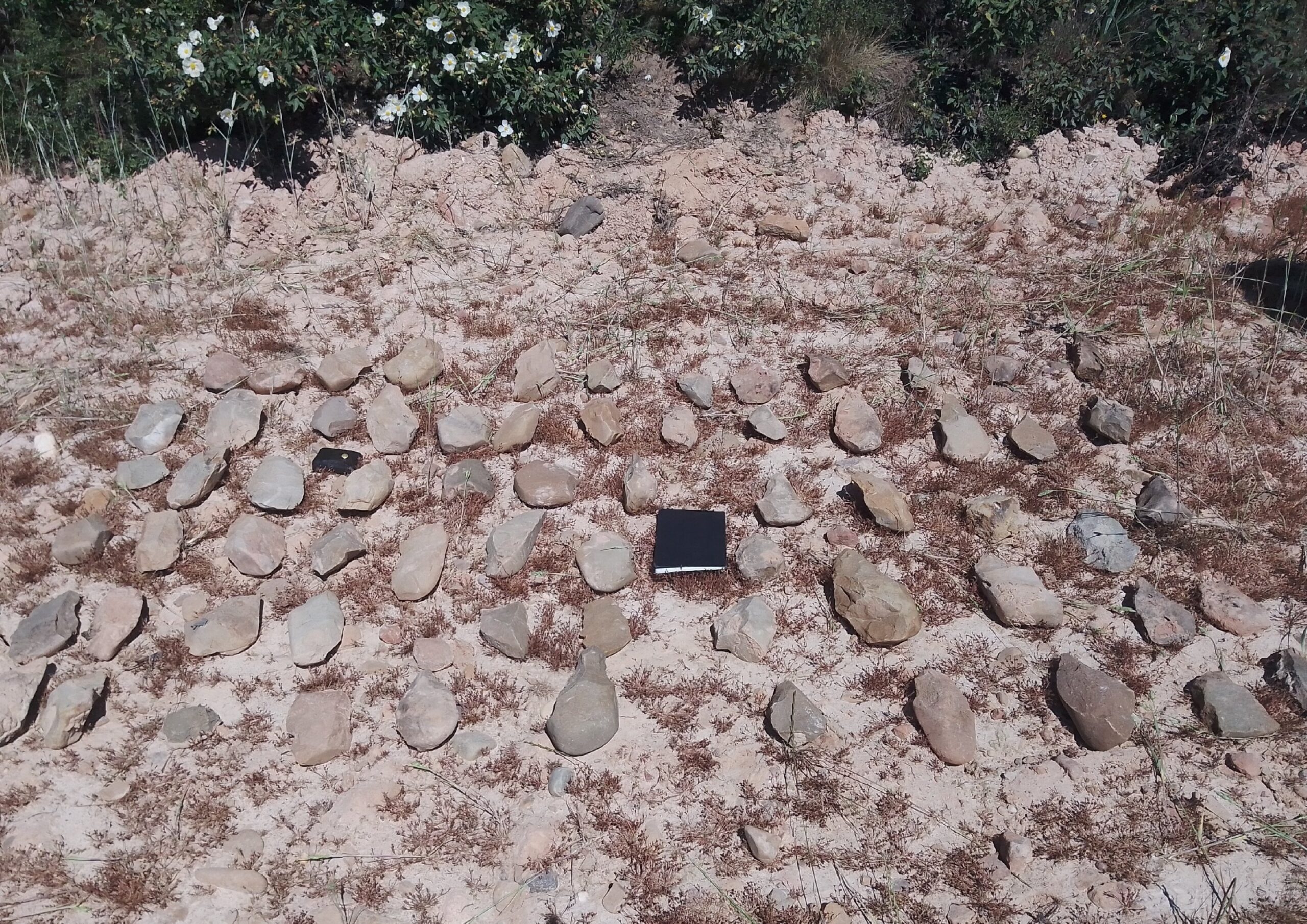 Spanish River Valley Unearths 700,000 Year Old Secrets of Early Humans