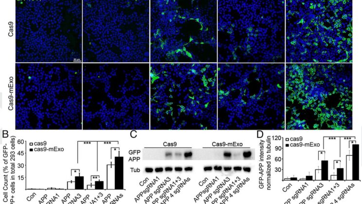 Scientists Discovered a Natural Kill Switch That Can Silence an Entire Extra Chromosome