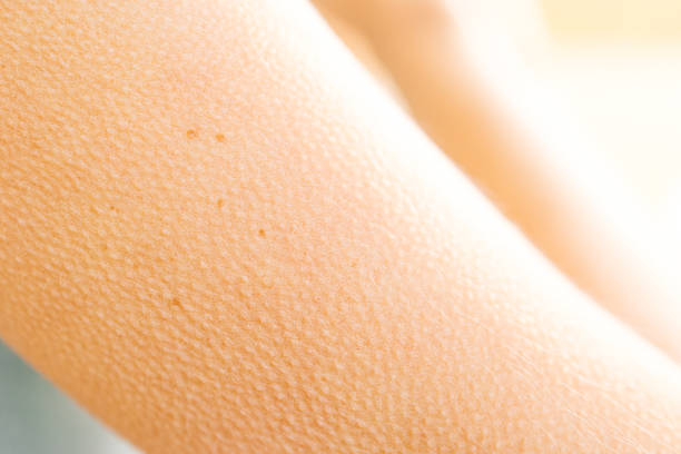 Why Do Humans Get Goosebumps? The Real Biological Reason